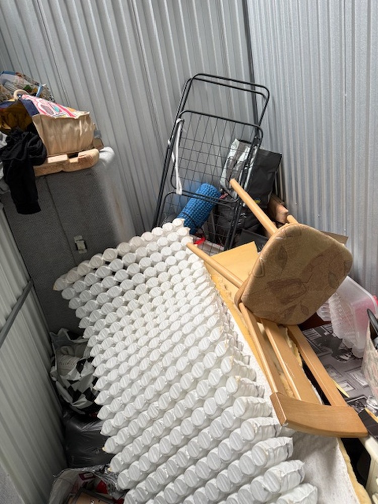 Safestore - myStorage Neu-Ulm Storage Unit auction IB-6565