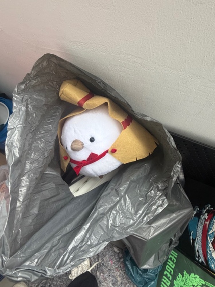 Safestore - MyStorage Berlin Storage Unit auction IB-3620 12